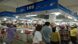 DeepSeek 眼中的三亚是什么样的？一起来看看