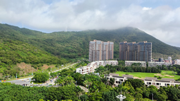 大连信息港科技