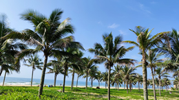 海南旅游网科技