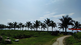 最低给发送三道杠是萨芬个88