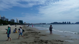 广州地铁十号线、十二号线6月29日14时正式开通！