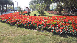 车商网-南北汽车网